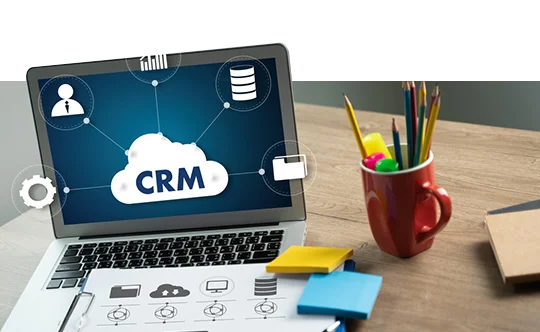 web design and development services